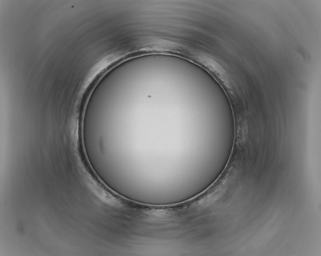 X0000112891130200908211448