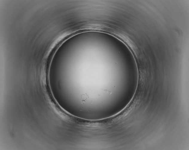 X0000112891131200908211448