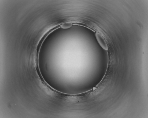 X0000112891132200908211448