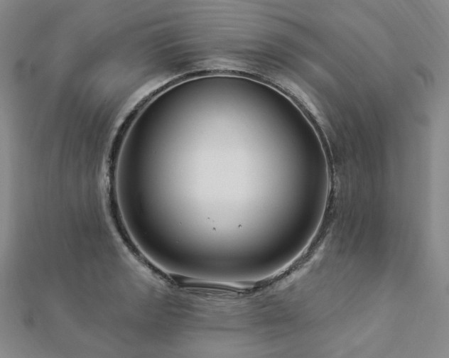 X0000112891133200908211448