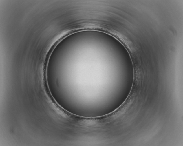 X0000112891134200908211448