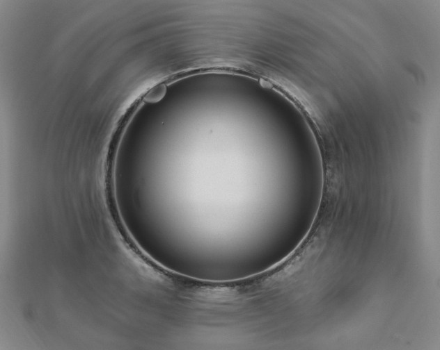 X0000112891135200908211448