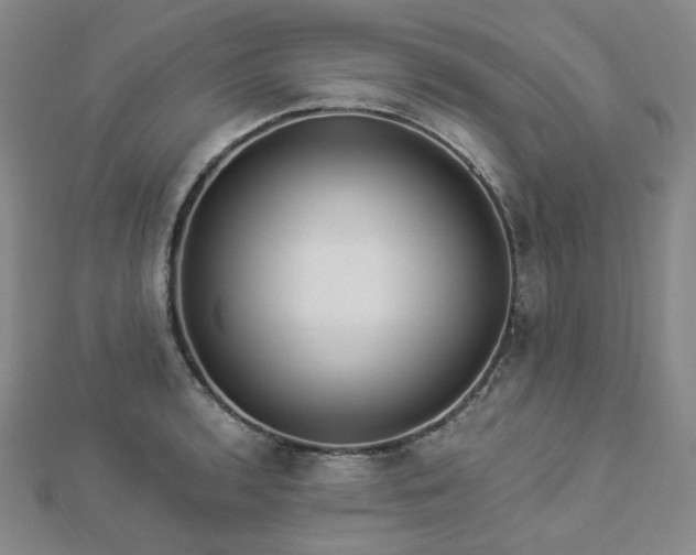 X0000112891136200908211448