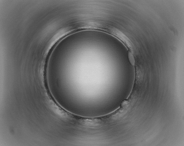 X0000112891138200908211448
