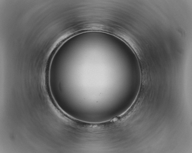 X0000112891139200908211448