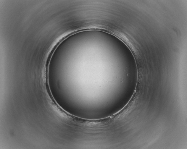 X0000112891140200908211448