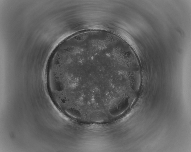 X0000112891141200908211448