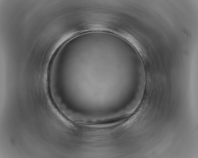 X0000112891142200908211448