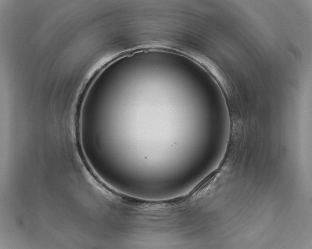 X0000112891143200908211448