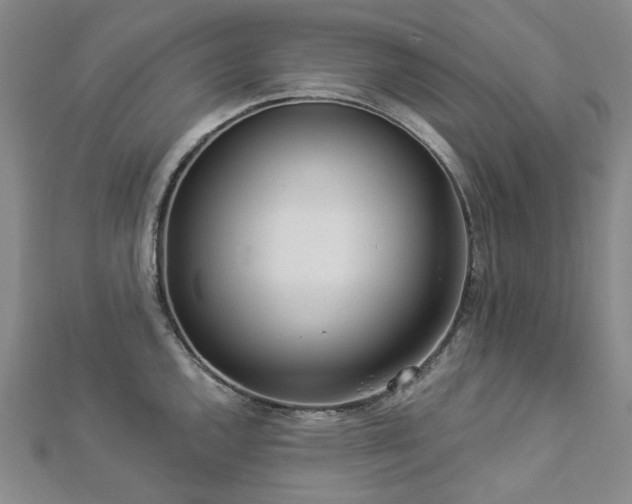 X0000112891144200908211448