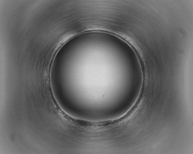 X0000112891145200908211448
