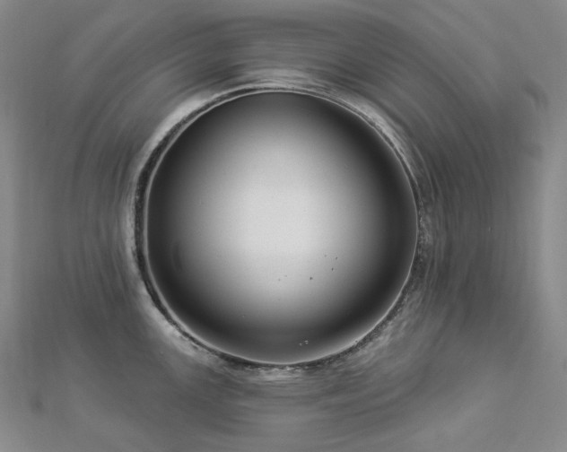 X0000112891147200908211448