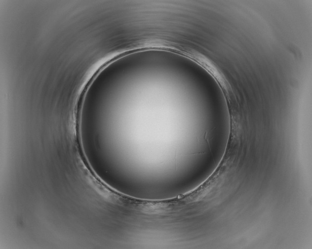 X0000112891148200908211448