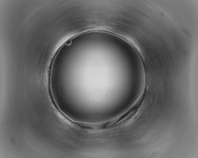 X0000112891151200908211448