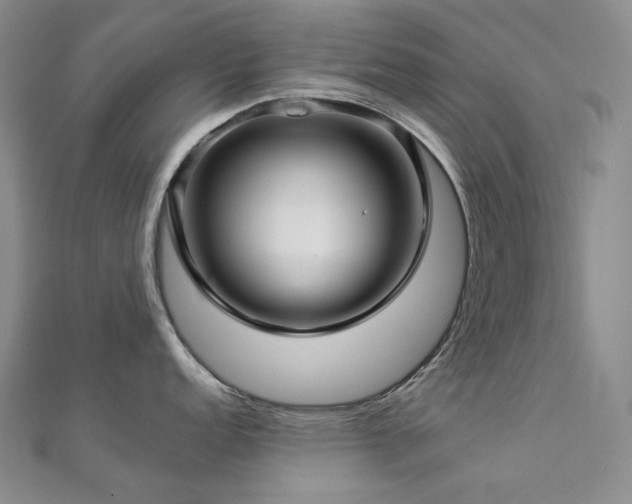 X0000112891152200908211448