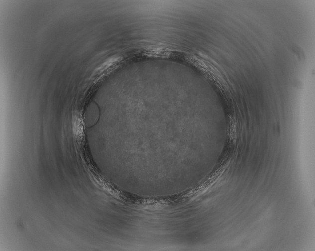 X0000112891154200908211447