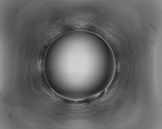 X0000112891156200908211447