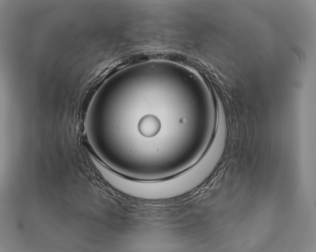 X0000112891157200908211447