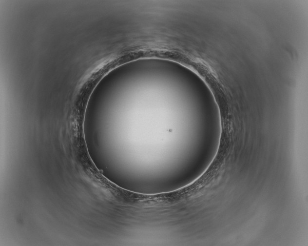 X0000112891159200908211447
