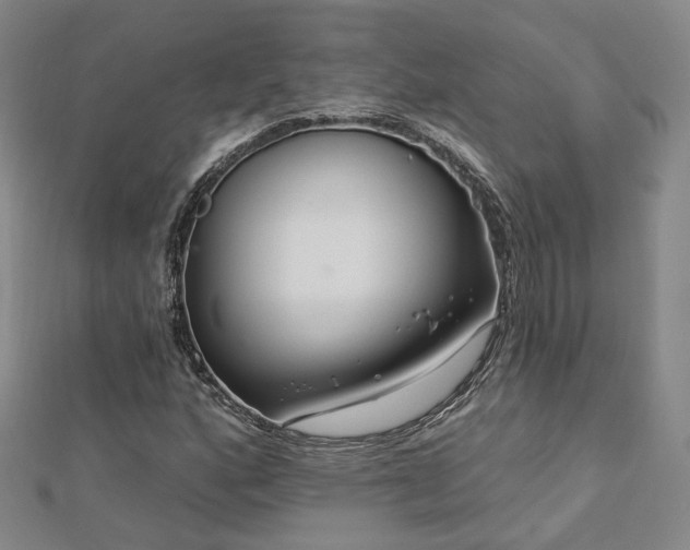 X0000112891160200908211447