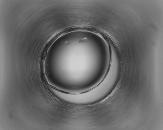 X0000112891162200908211447