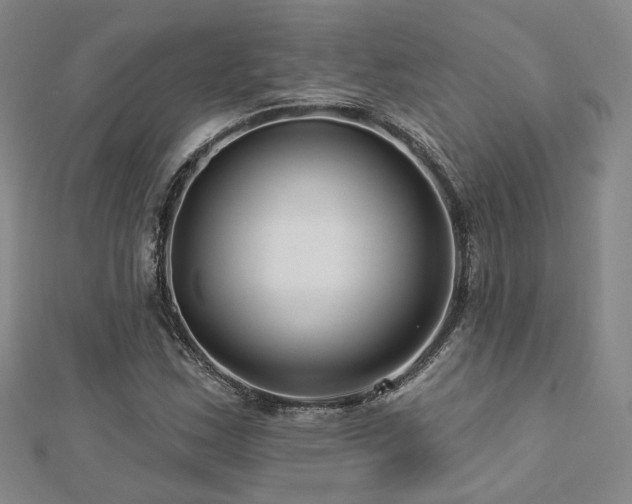 X0000112891163200908211447
