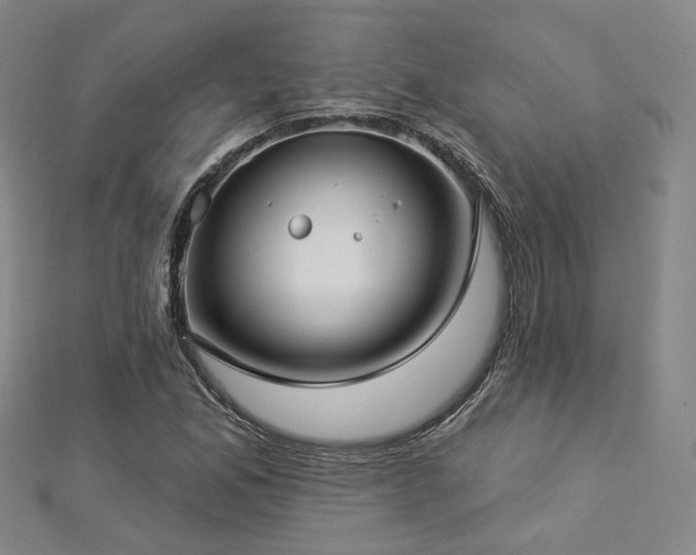 X0000112891165200908211447