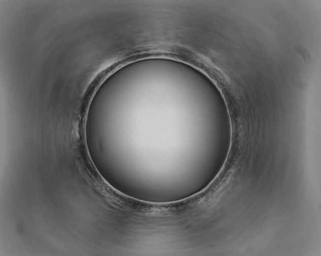 X0000112891166200908211447