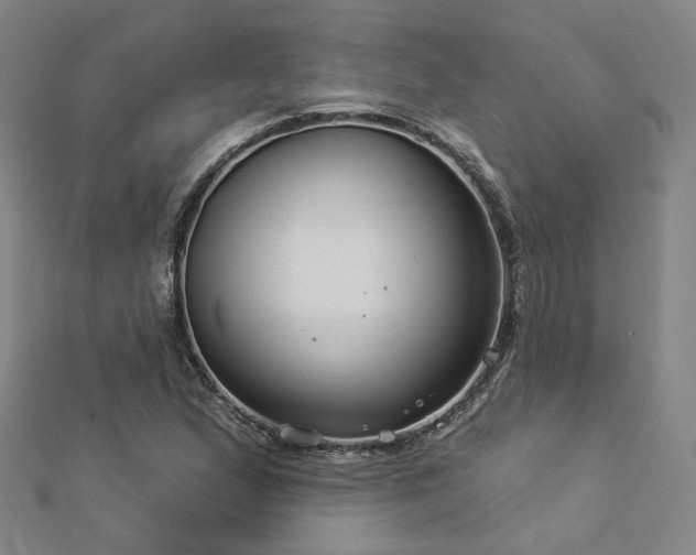 X0000112891167200908211447