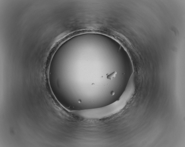 X0000112891168200908211447
