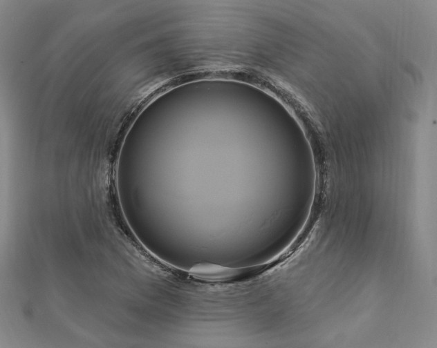X0000112891169200908211447