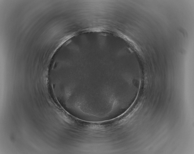 X0000112891170200908211447