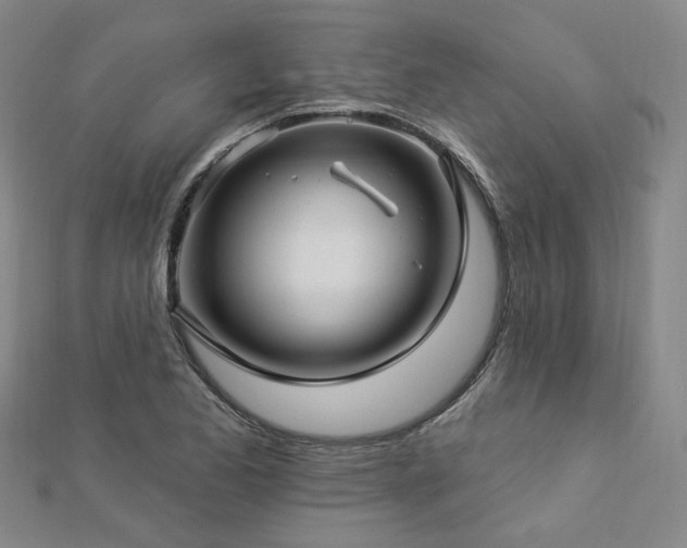 X0000112891173200908211447