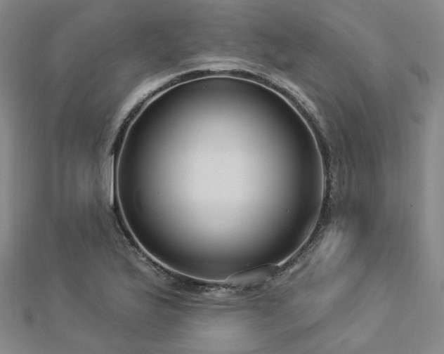 X0000112891175200908211447