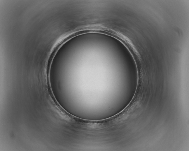 X0000112891176200908211447
