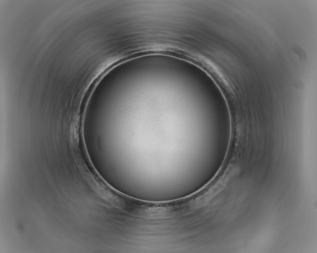 X0000112891178200908211447