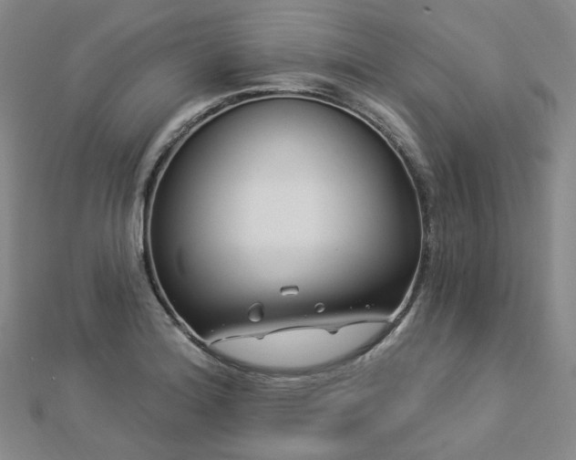 X0000112891180200908211447