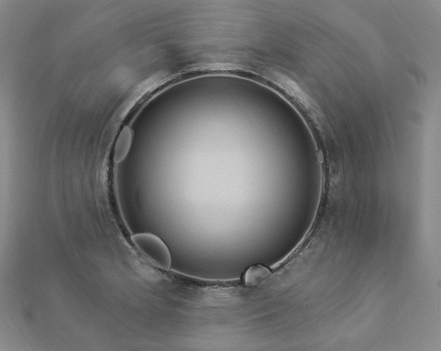 X0000112891181200908211447