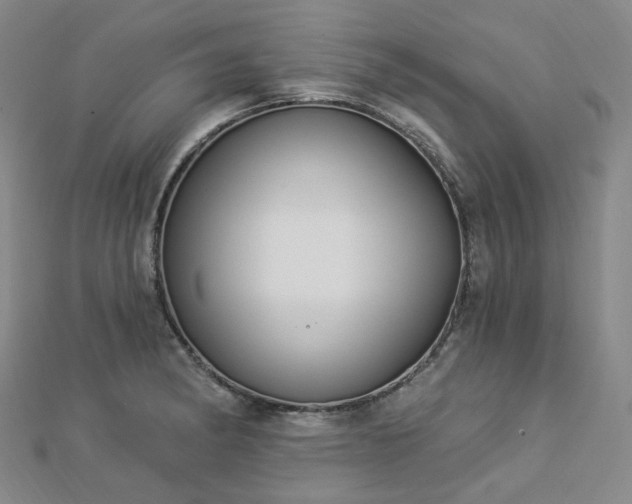 X0000112891182200908211447