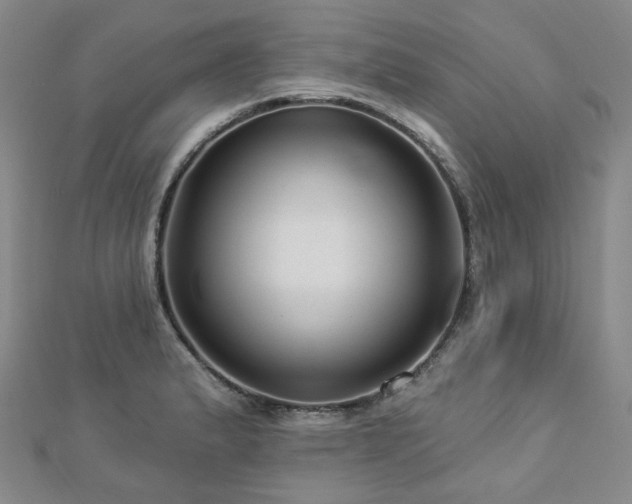 X0000112891183200908211447