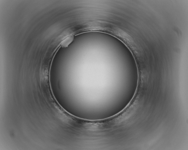 X0000112891185200908211447