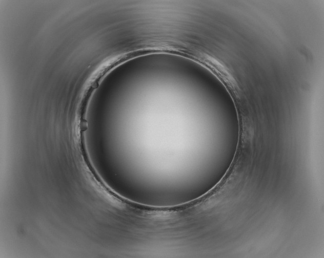 X0000112891188200908211447