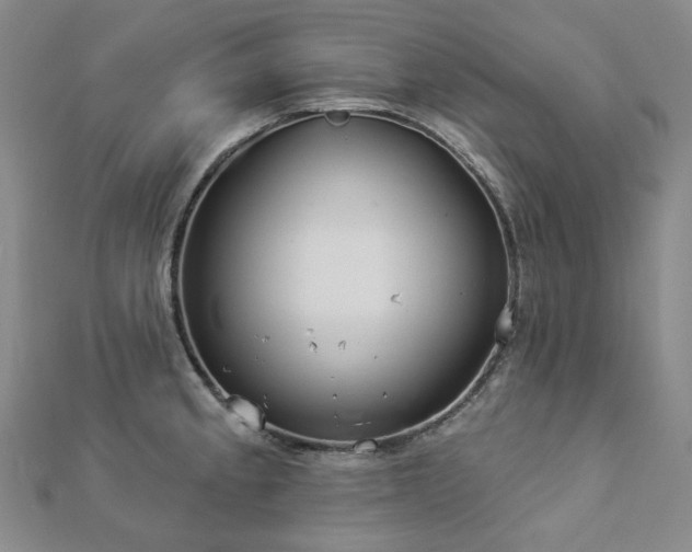 X0000112891189200908211447