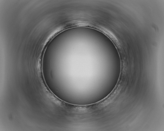 X0000112891190200908211447