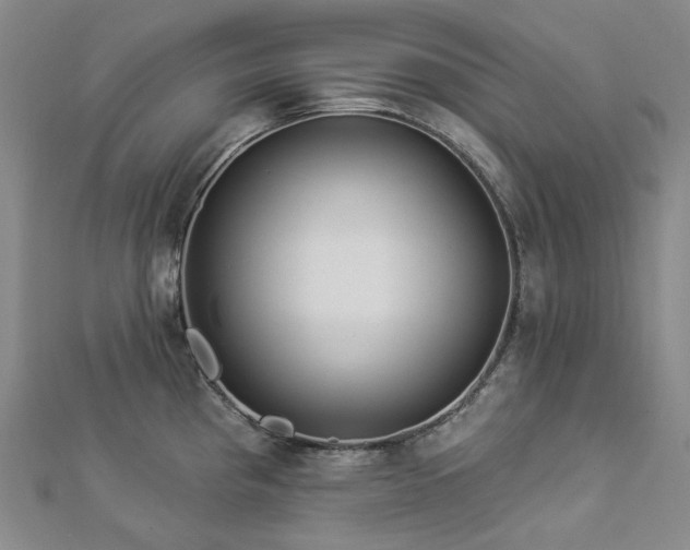 X0000112891193200908211447