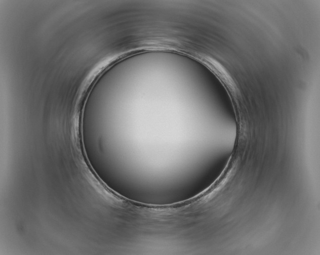 X0000112891196200908211447