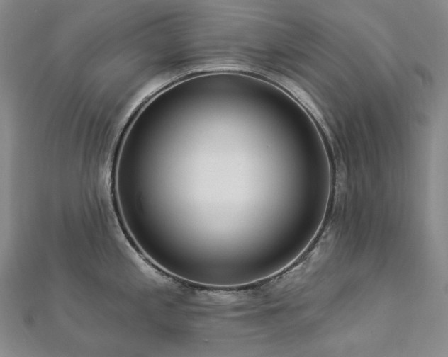 X0000112891197200908211447