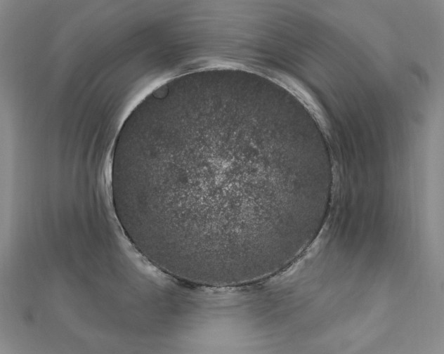 X0000112891198200908211447