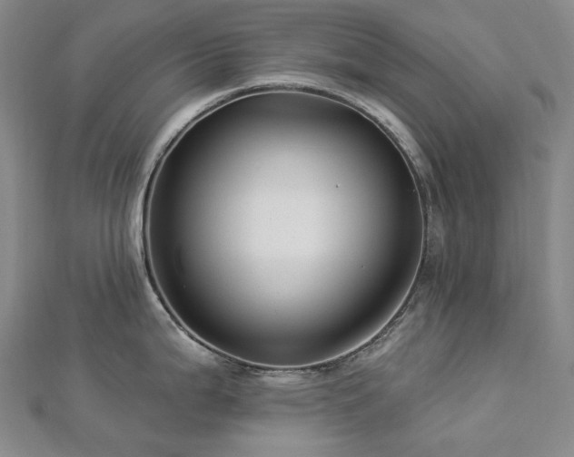 X0000112891199200908211447
