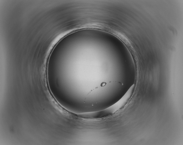 X0000112891200200908211447